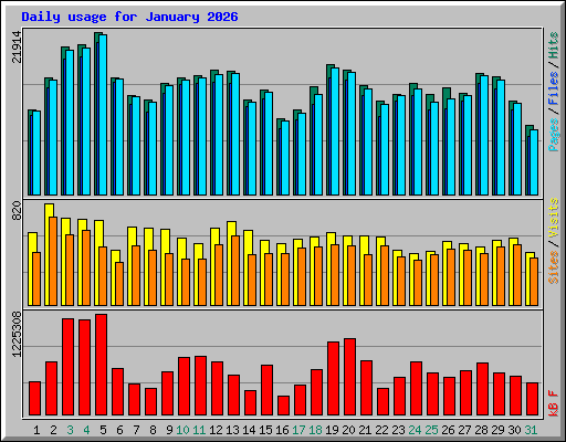 Daily usage for January 2026
