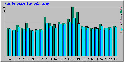 Hourly usage for July 2025
