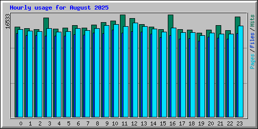 Hourly usage for August 2025